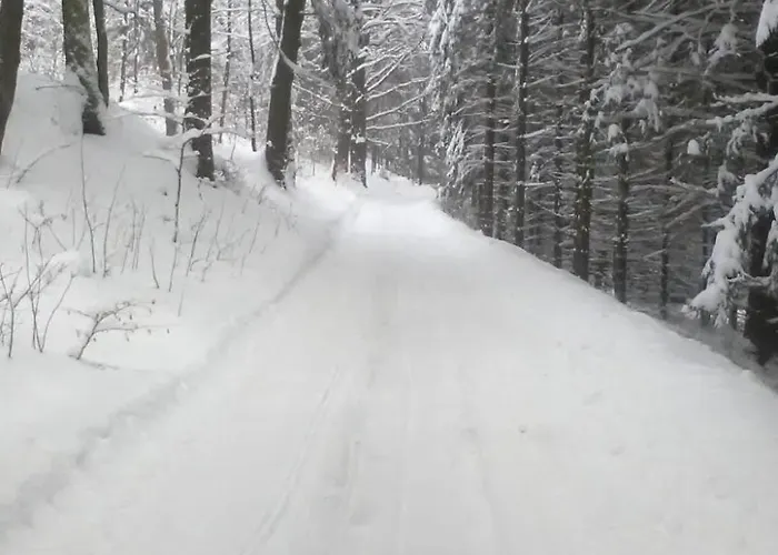 Mit Der Im Einklang By Interhome